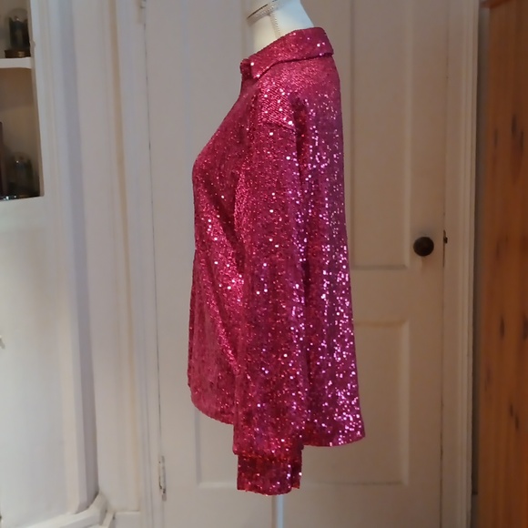 Rachel Zoe Long Sleeved Sequinned Blouse - Picture 6 of 11